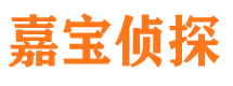 凌河侦探社